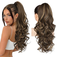Chocolate Brown with Highlights